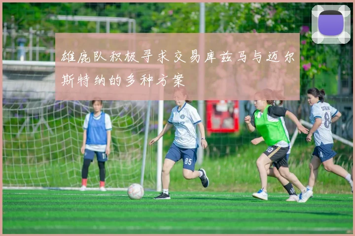 雄鹿队积极寻求交易库兹马与迈尔斯特纳的多种方案