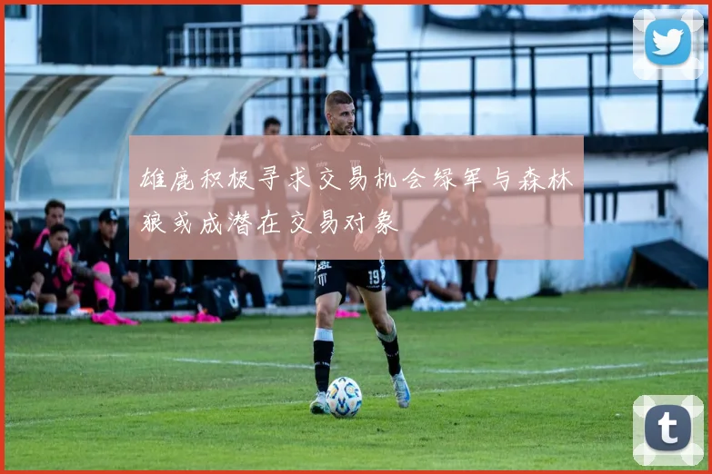 雄鹿积极寻求交易机会绿军与森林狼或成潜在交易对象